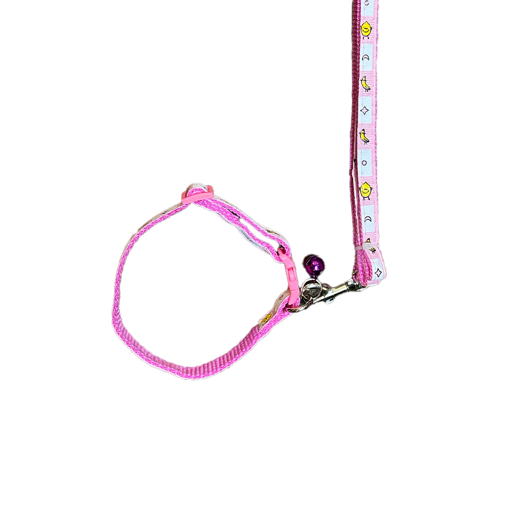 DÂY DẮT VÒNG CỔ DOOG & CAAT - BẢN 1.0CM